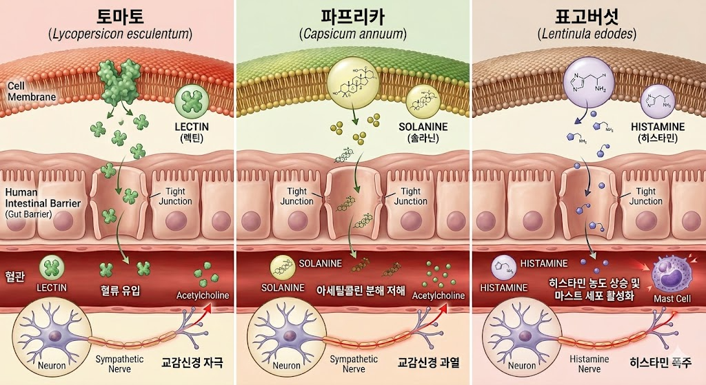 식물성 독소 비밀